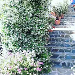Il Giardino Del Borgo بيت للعطل Rocca Cilento