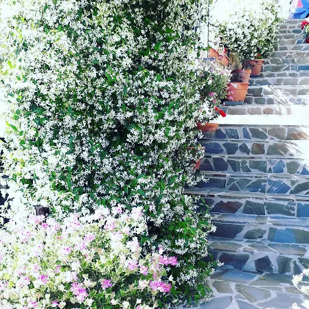Il Giardino Del Borgo Vakantiehuis Rocca Cilento